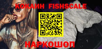 индика Рузаевка
