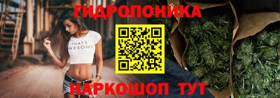 индика Рузаевка