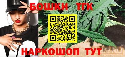 индика Рузаевка