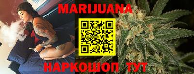 индика Рузаевка