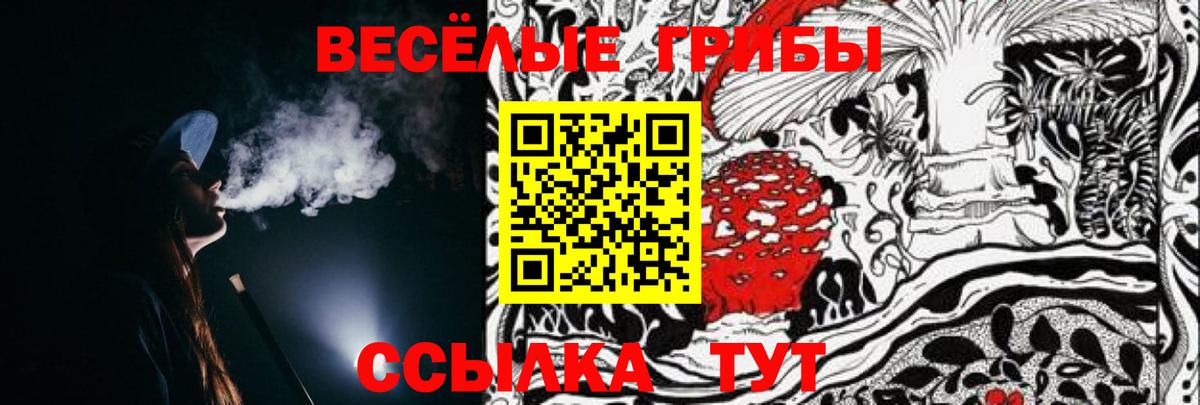Псилоцибиновые грибы MAGIC MUSHROOMS Октябрьский